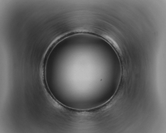 X0000113530992200910021326