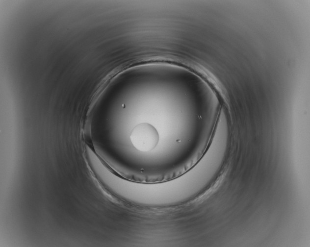 X0000113530993200910021326