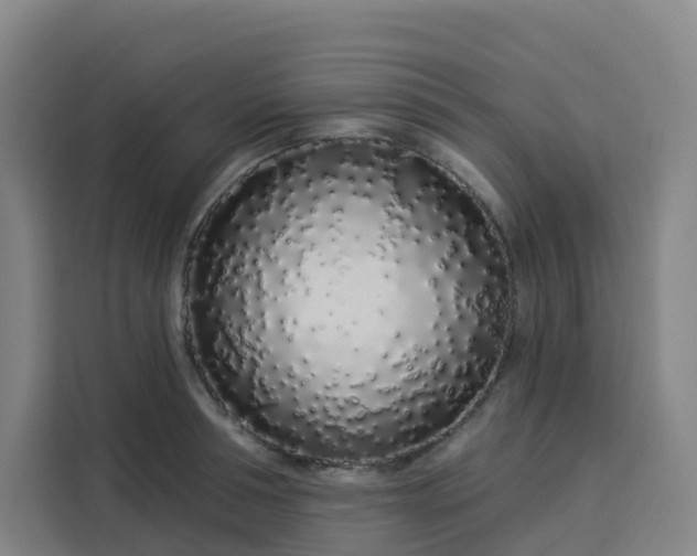 X0000113530994200910021326