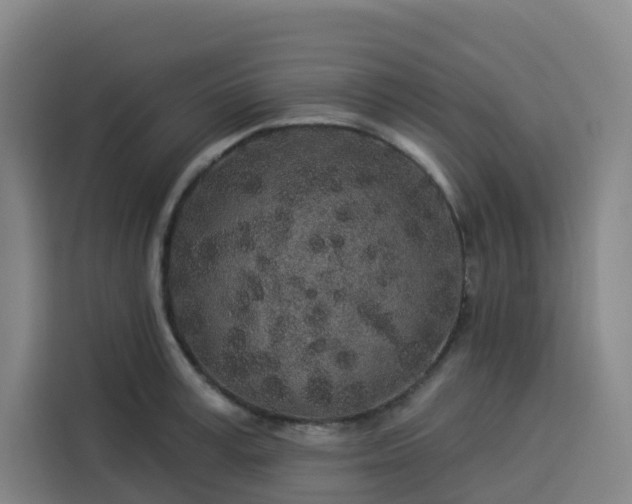 X0000113530995200910021326