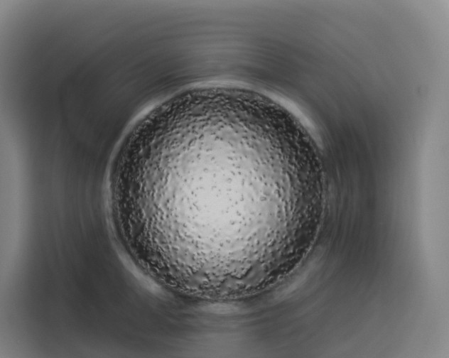 X0000113530998200910021326