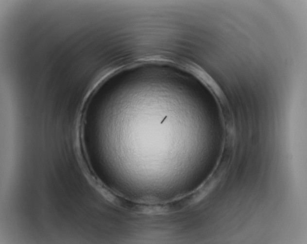 X0000113531002200910021326