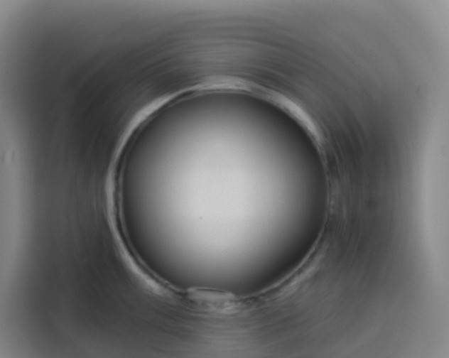 X0000113531003200910021326