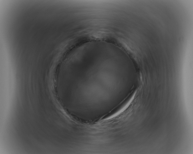 X0000113531009200910021325