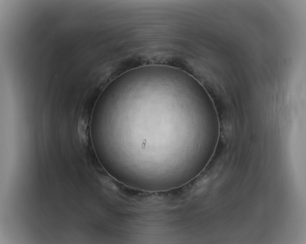 X0000113531010200910021325