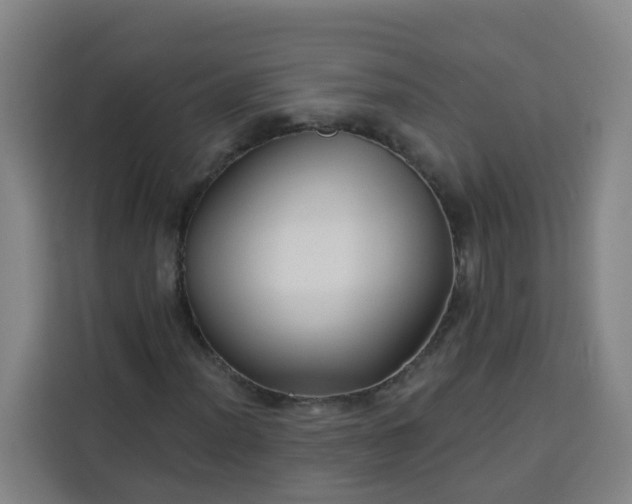 X0000113531012200910021325