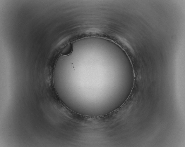 X0000113531015200910021325