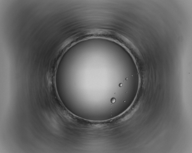 X0000113531017200910021325