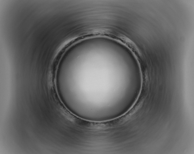 X0000113531019200910021325