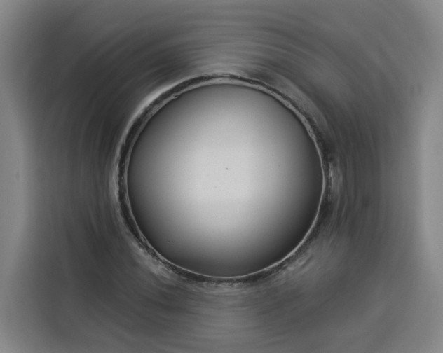 X0000113531020200910021325