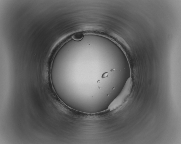 X0000113531021200910021325