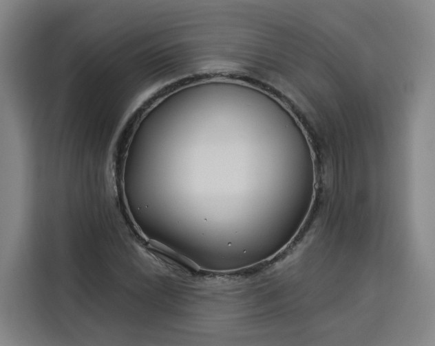 X0000113531022200910021325