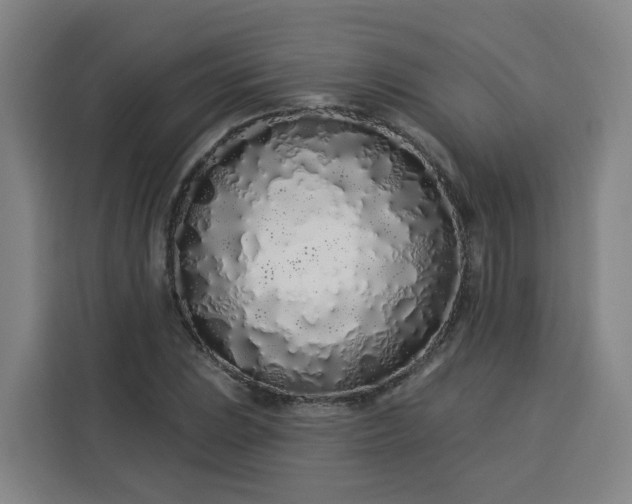 X0000113531023200910021325