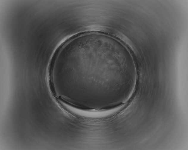 X0000113531024200910021325