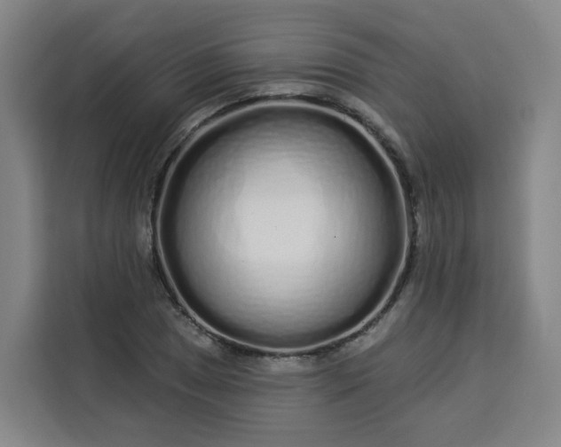 X0000113531025200910021325