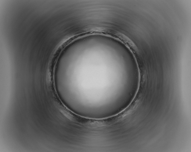 X0000113531027200910021325