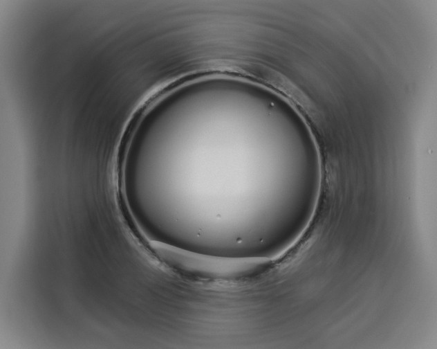 X0000113531028200910021325