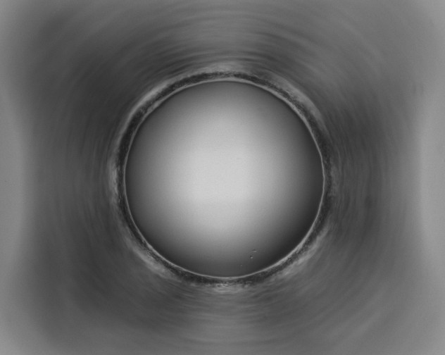 X0000113531029200910021325