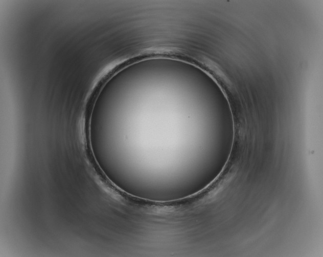 X0000113531030200910021325