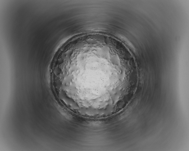 X0000113531031200910021325