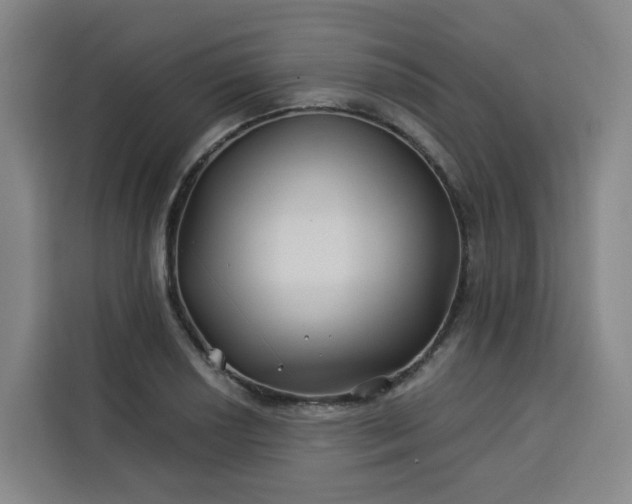 X0000113531034200910021325