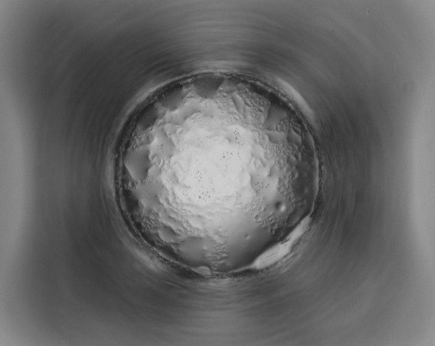 X0000113531035200910021325