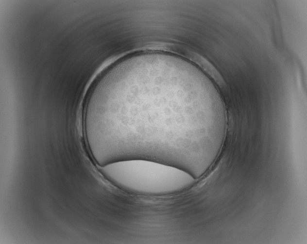 X0000113531036200910021325