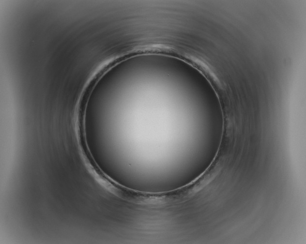 X0000113531038200910021325