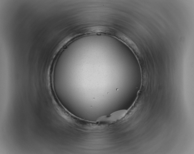 X0000113531039200910021325