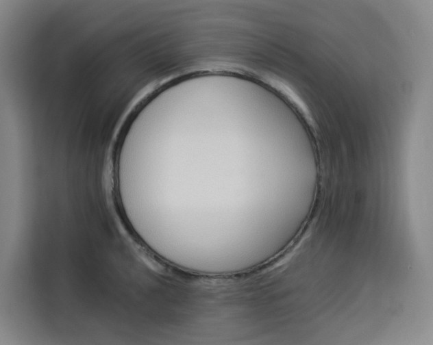 X0000113531040200910021325