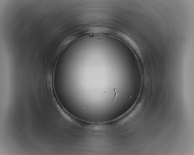 X0000113531041200910021325