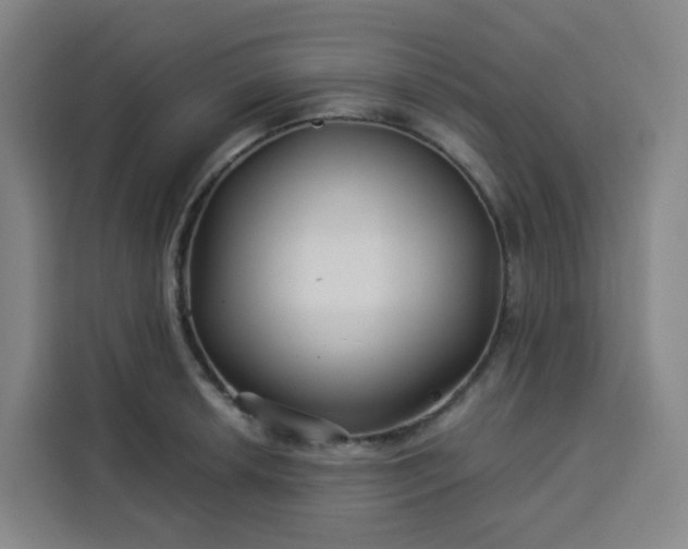 X0000113531042200910021325