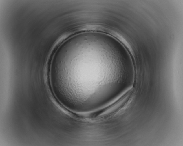 X0000113531045200910021325