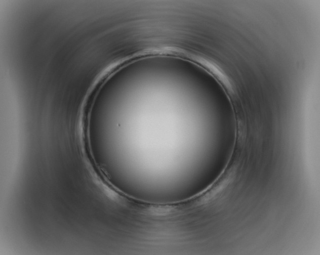 X0000113531046200910021325