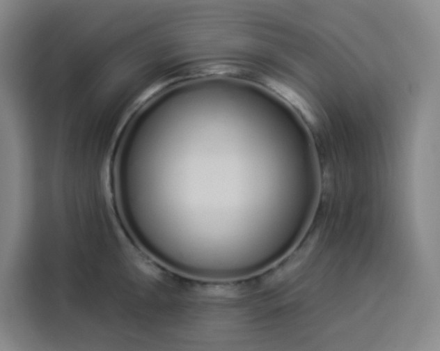 X0000113531047200910021325