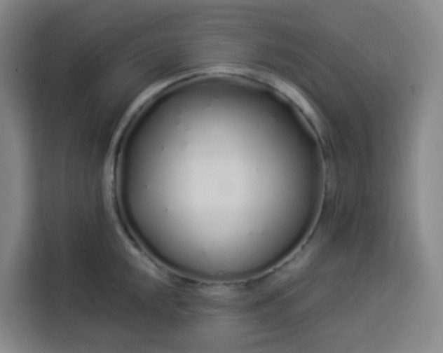 X0000113531048200910021325