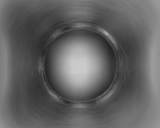 X0000113531049200910021325