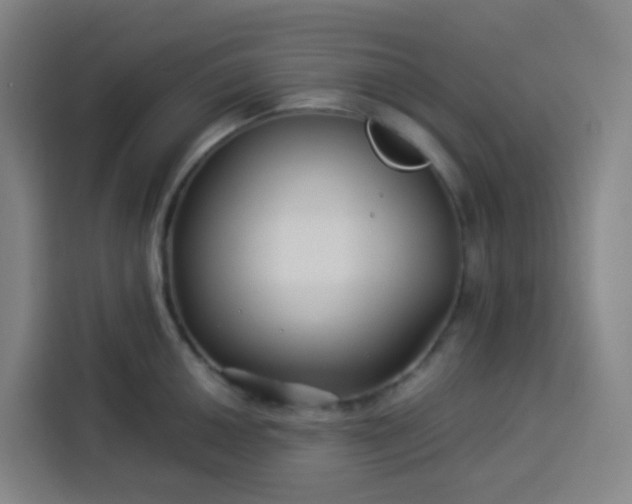 X0000113531050200910021325