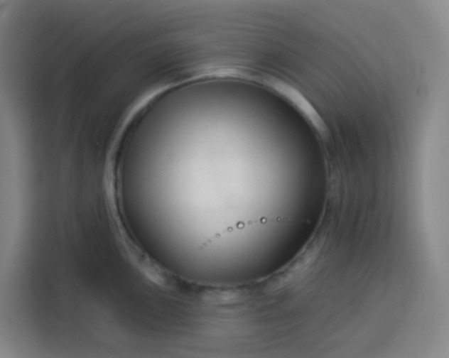 X0000113531051200910021325