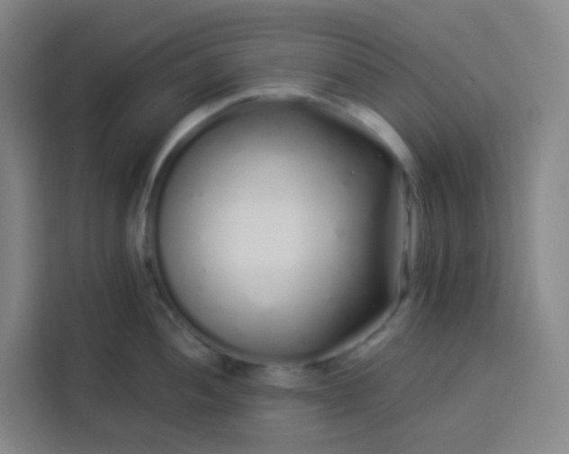 X0000113531052200910021325