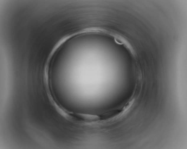 X0000113531054200910021326