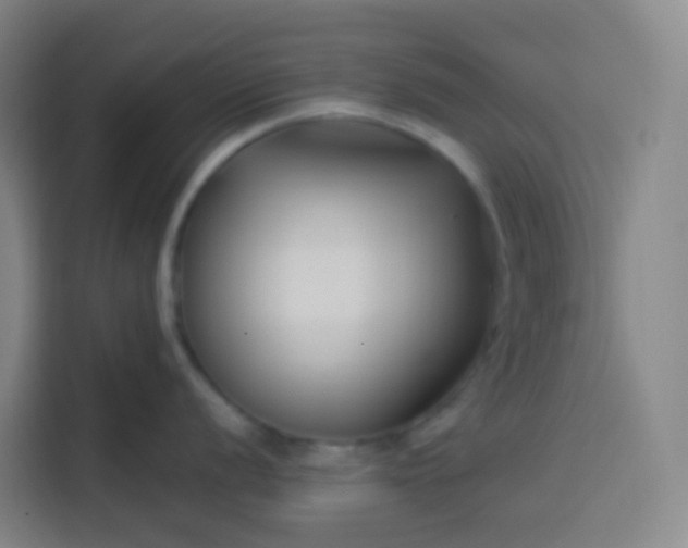 X0000113531056200910021326