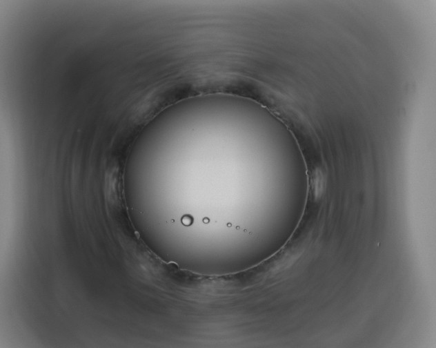 X0000113531059200910021325