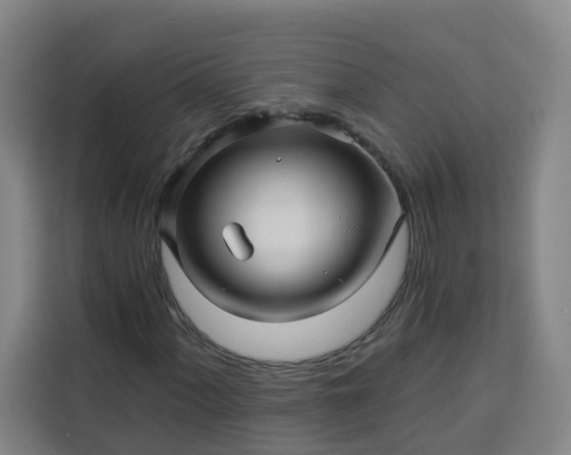 X0000113531060200910021325