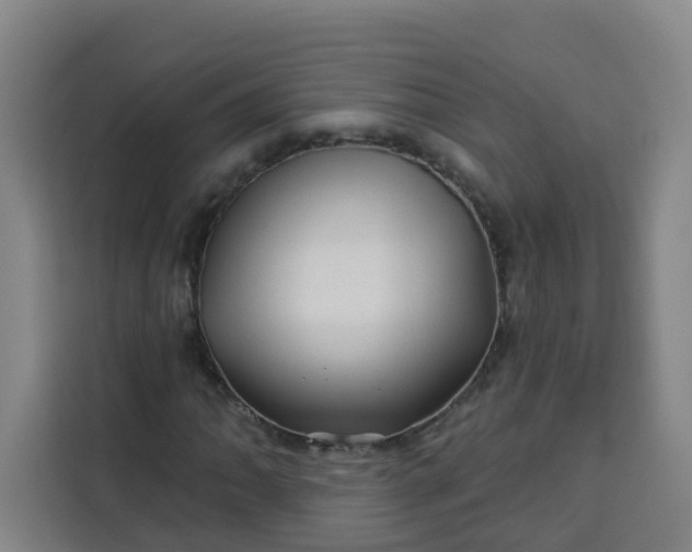 X0000113531062200910021325