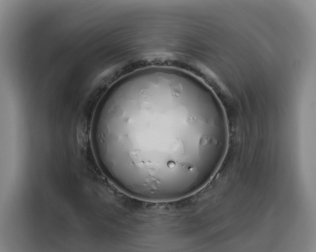 X0000113531063200910021325