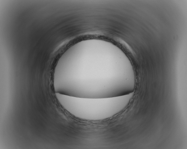 X0000113531064200910021325