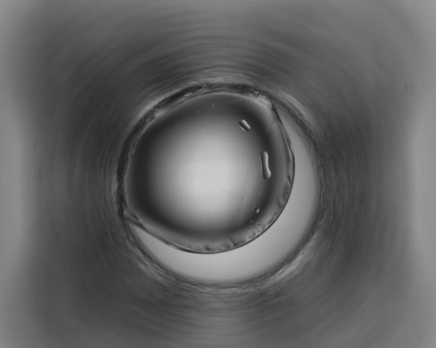 X0000113531065200910021325