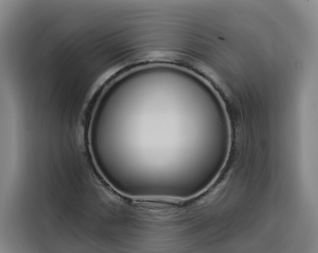 X0000113531066200910021325