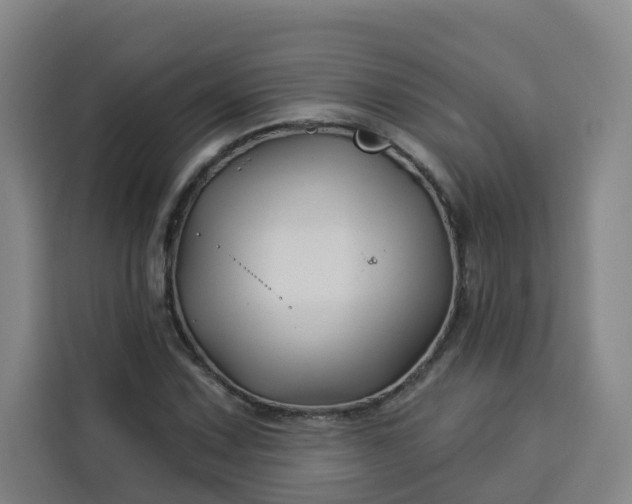 X0000113531067200910021325